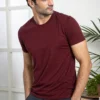 Essential Maroon Regular-fit